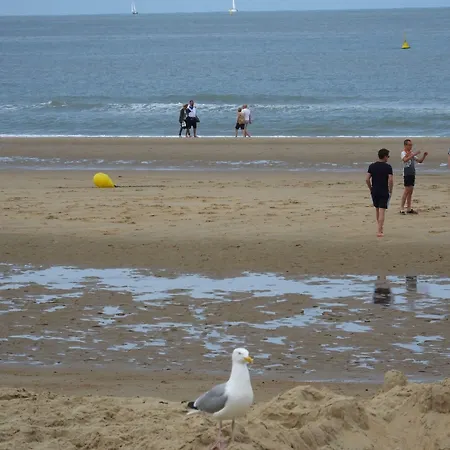 Monarc 4* Остенде