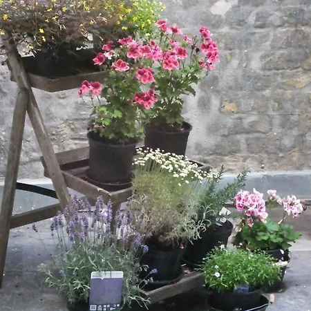 Monarc Остенде