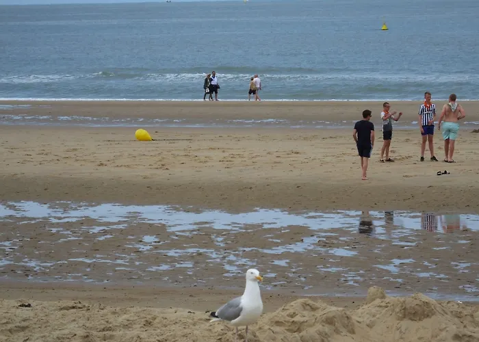 Monarc 4* 奥斯滕德