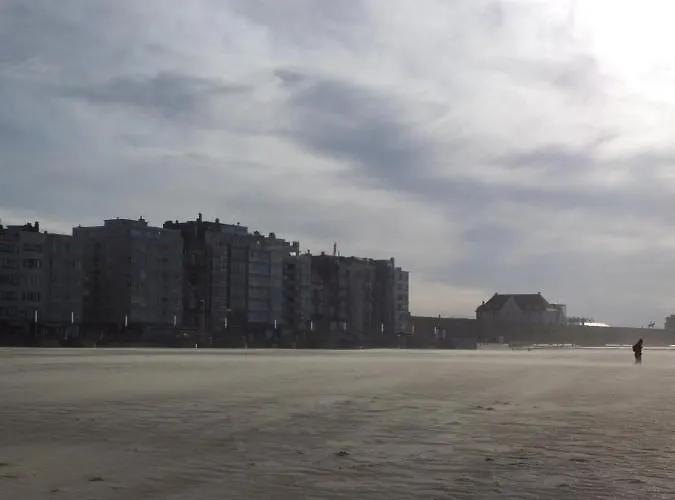 Monarc أوستيند